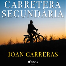 Carretera secundària